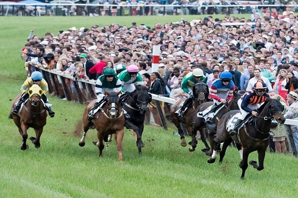 The Benefits of Renting a Charter Bus for Foxfield Races