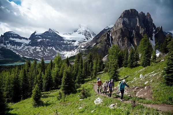 Exploring National Parks with Mini Bus Rental