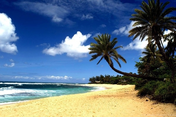 Hawaiian Beaches Kings Charter Bus Rental Service