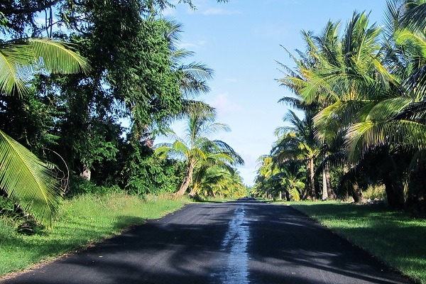 Pahoa Kings Charter Bus Rental Service